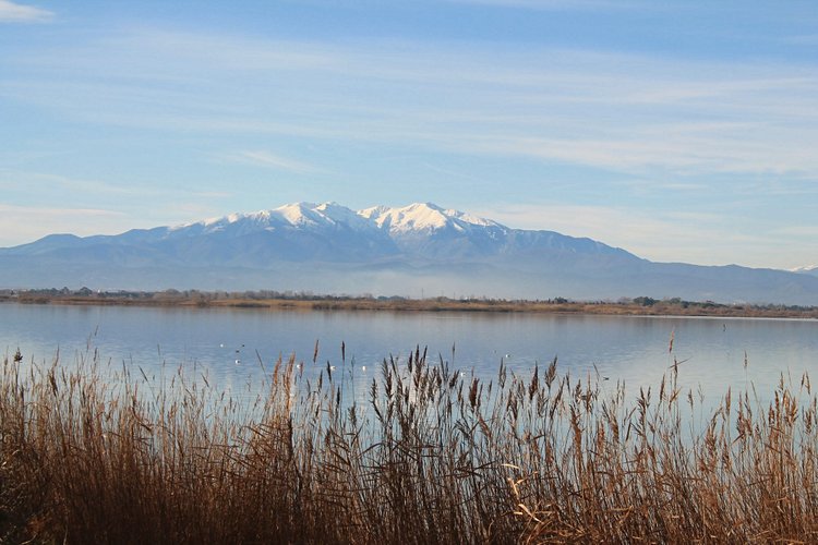 Canet-en-Roussillon