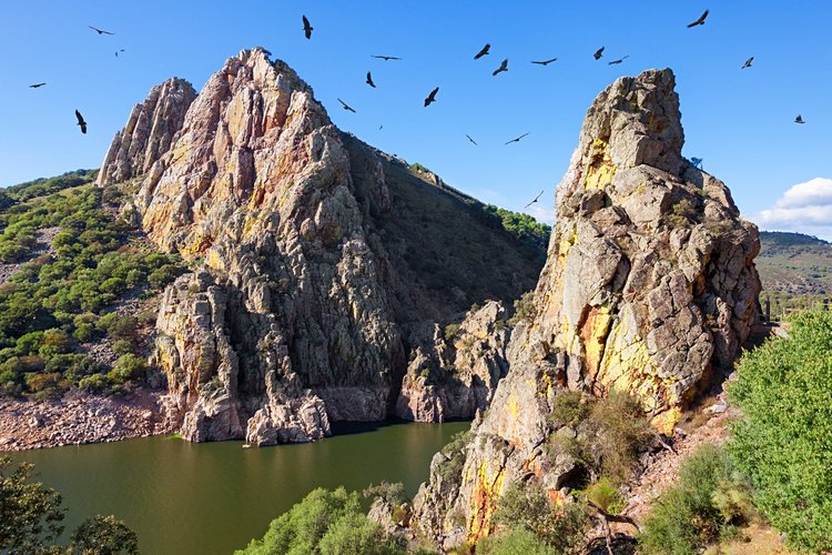 Parc national de Monfrague 2