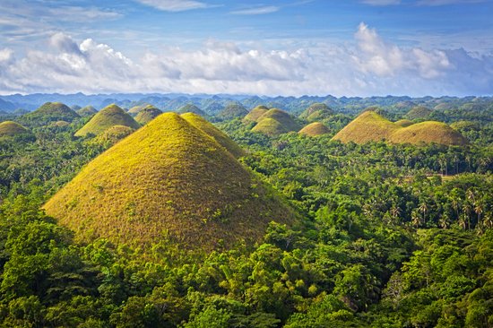 Chocolate Hills