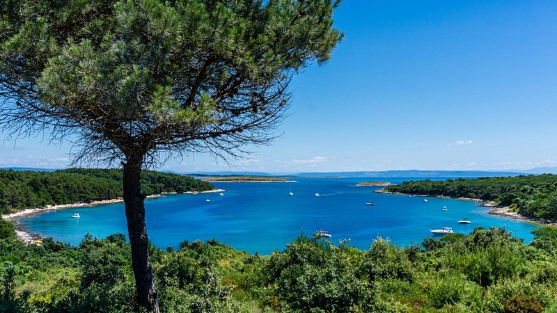 plage Plage et criques de Rt Kamenjak