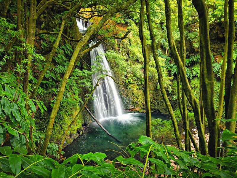 Faial da Terra
