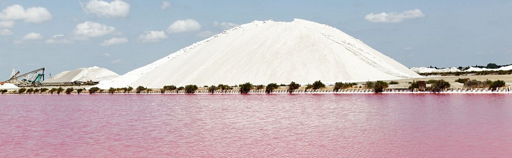 Les salins d’Aigues-Mortes