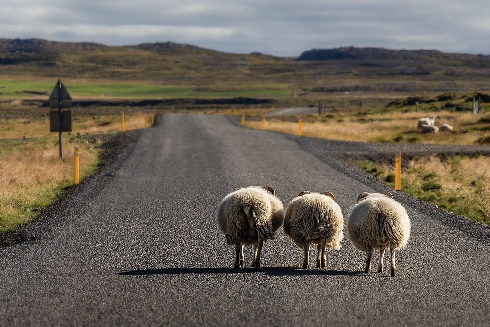 Islande au mois de  septembre