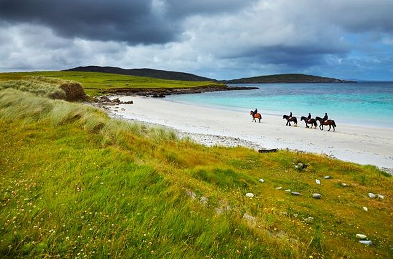 Découvrez les paysages irlandais à dos de cheval