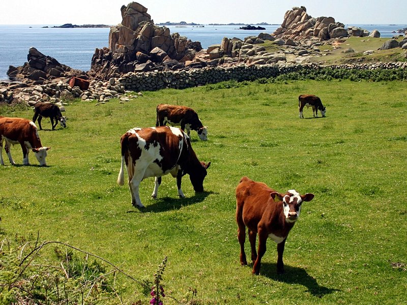 Iles Scilly