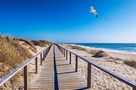 Costa Nova Beach