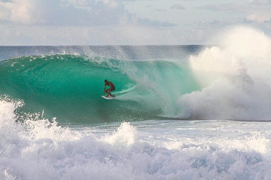 Surfer sur les vagues géantes de North Shore