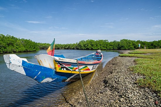 Parc national du delta Saloum