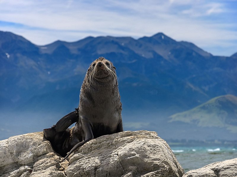 Kaikoura