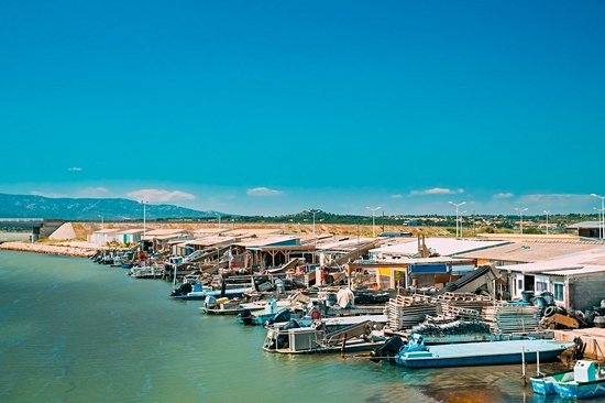 Leucate