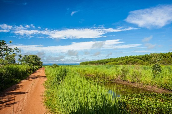 Parc national du Pantanal