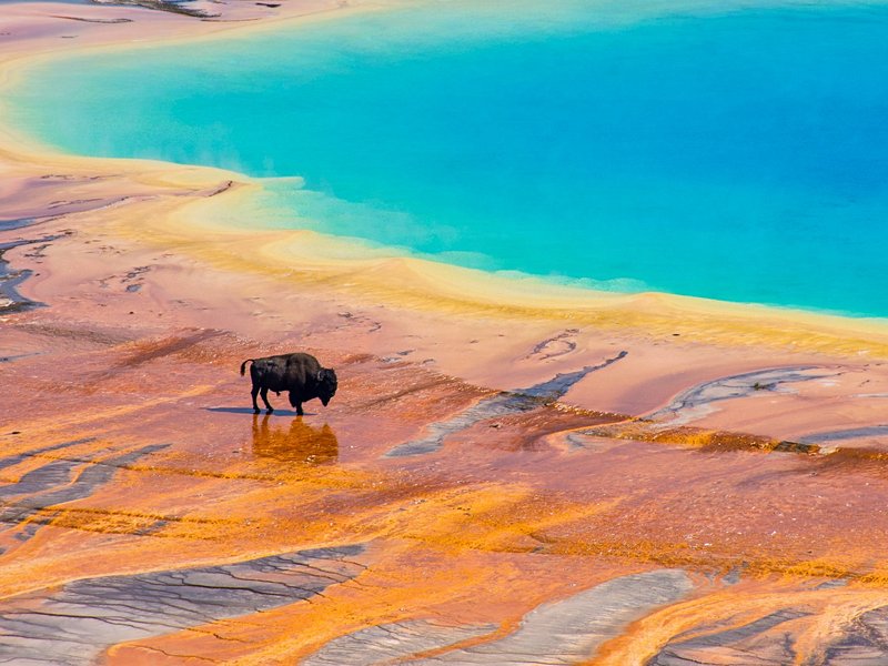 Grand Prismatic Spring