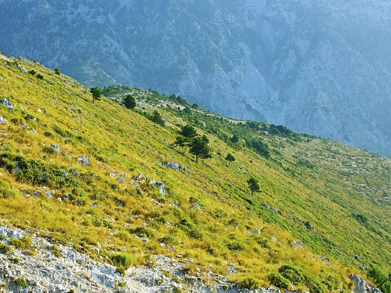 Parc national Llogara