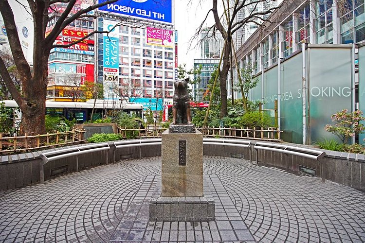 Shibuya et la statue de Hachiko