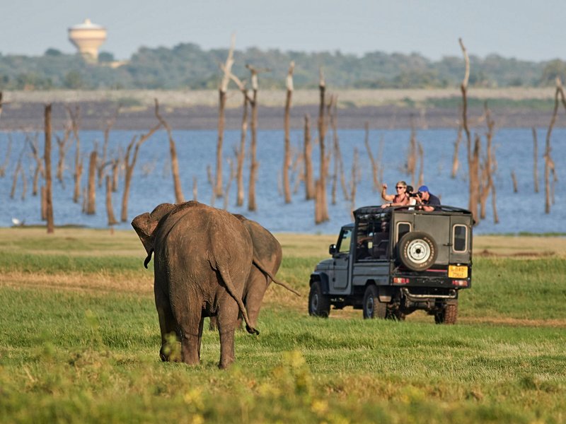 Parc de Kaudulla