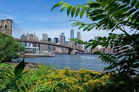 Quartier Dumbo