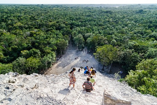 Cobá
