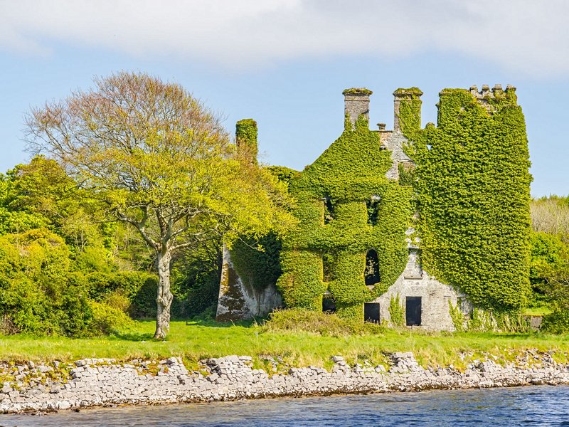 Admirez le Menlo Castle, dévoré par la verdure