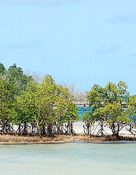 Les plus belles plages du Kenya