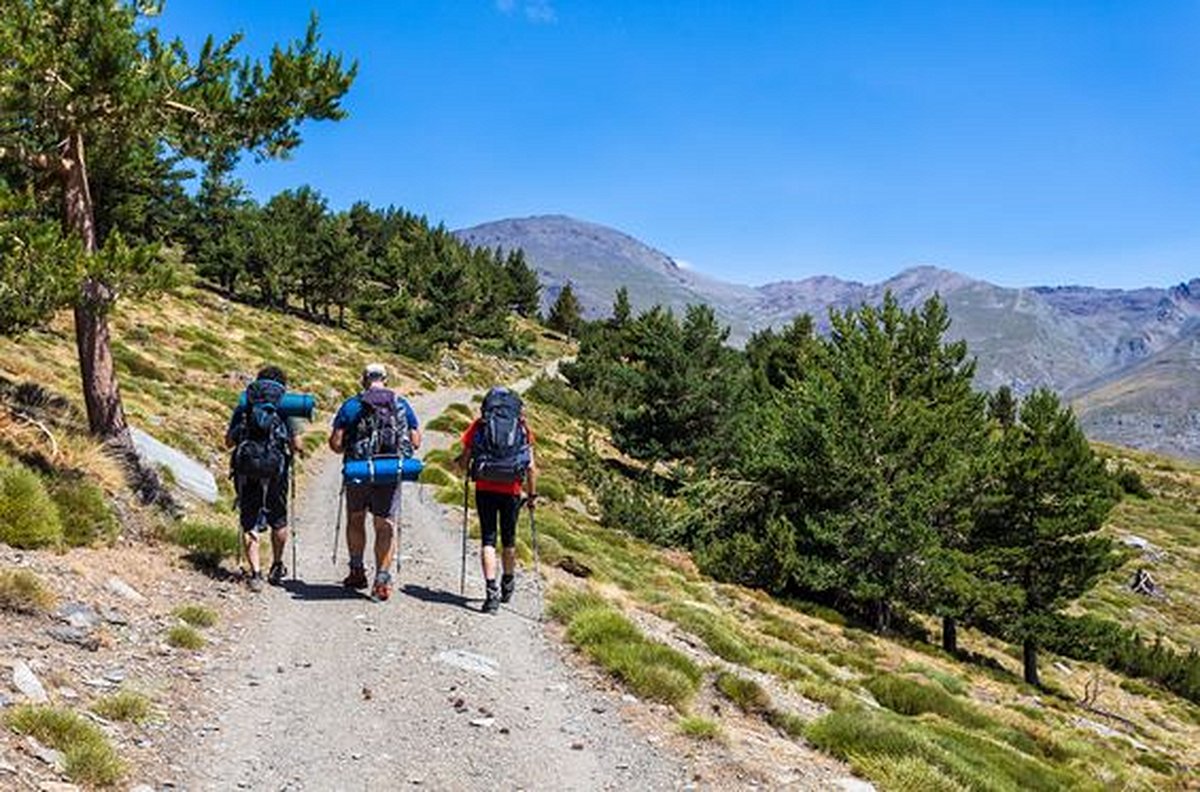 Arpenter les montagnes de la Sierra Nevada