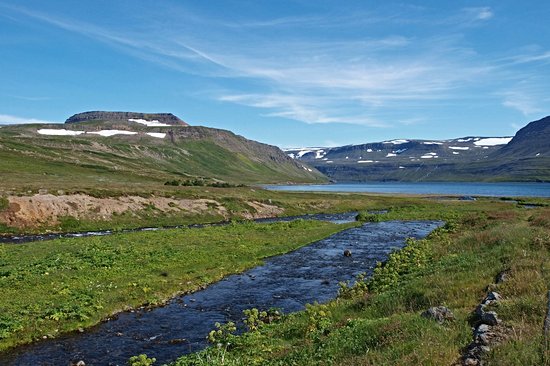 Hornstrandir