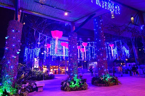 Le zoo et le Night Safari