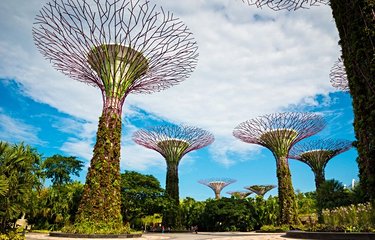 Jardins de la Baie de Singapour