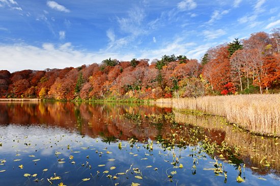 Parc national de Towada-Hachimantai