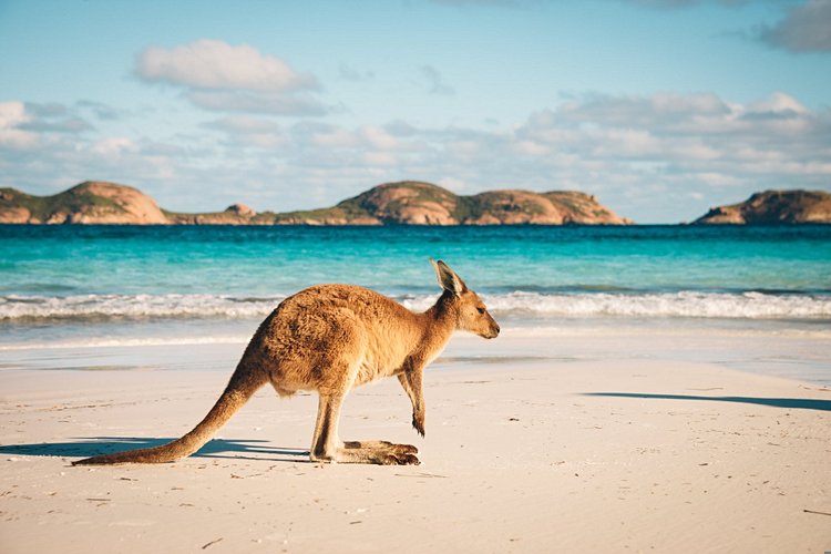 Esperance
