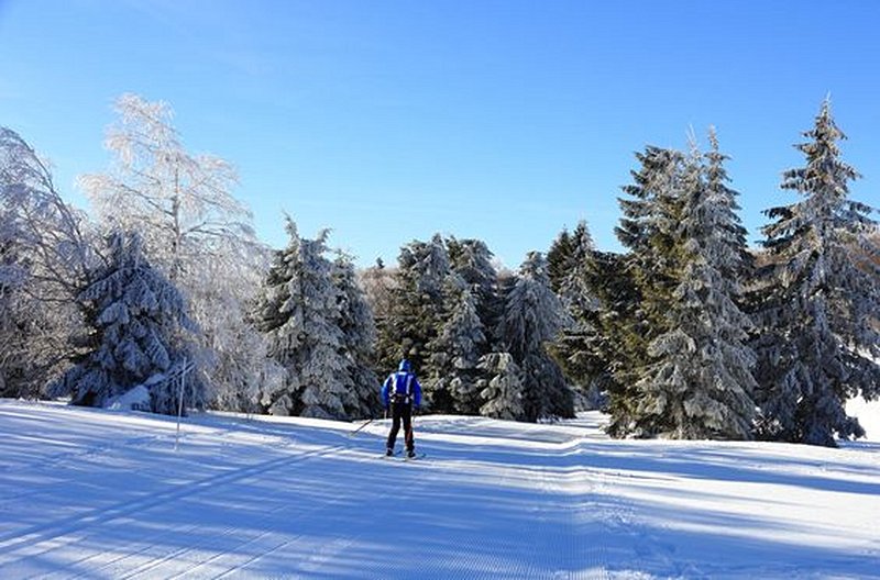 Profiter de la neige en hiver