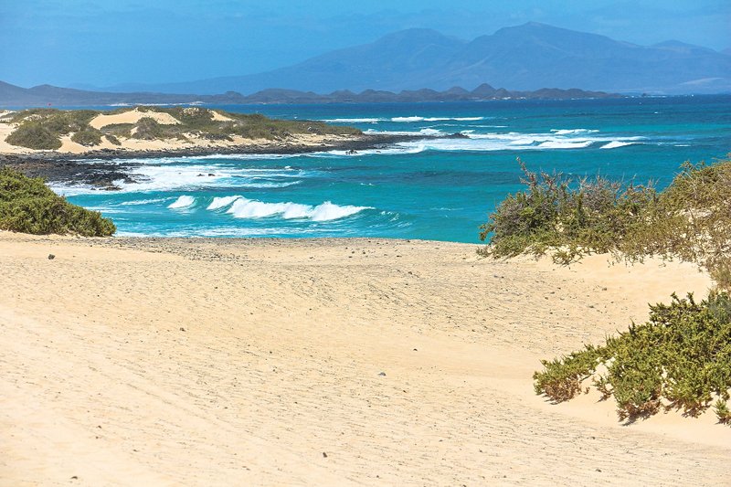 plage Les plages du parc des dunes de Corralejo