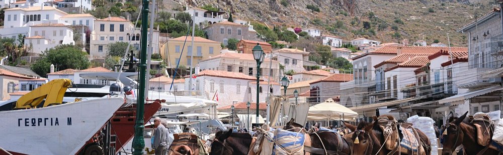 Hydra