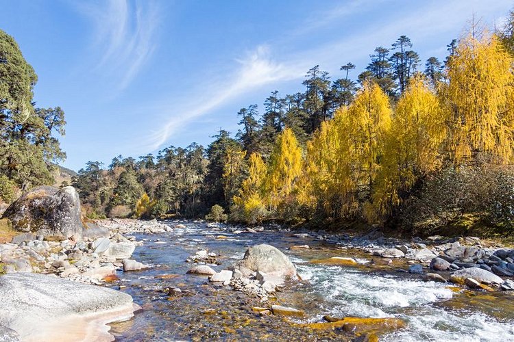 Sakteng Wildlife Sanctuary