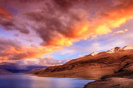 Lac Tso Moriri