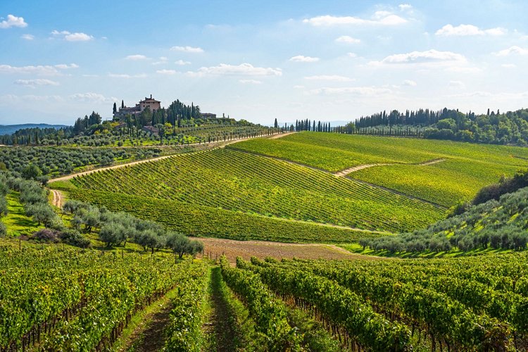 Route du vin du Chianti classico - Toscane, Italie