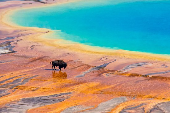 Yellowstone