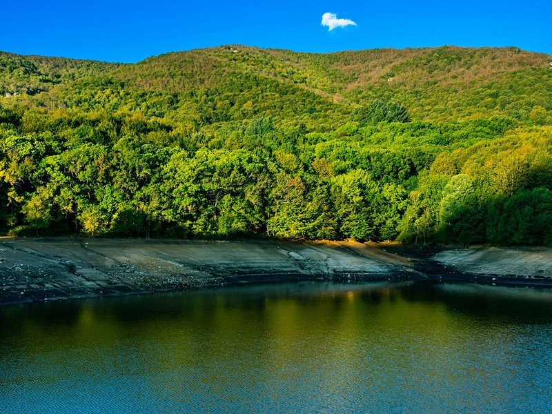 Le parc naturel de Montseny