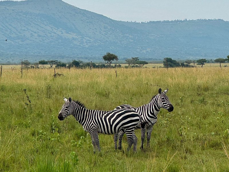 Le parc national de Ruma