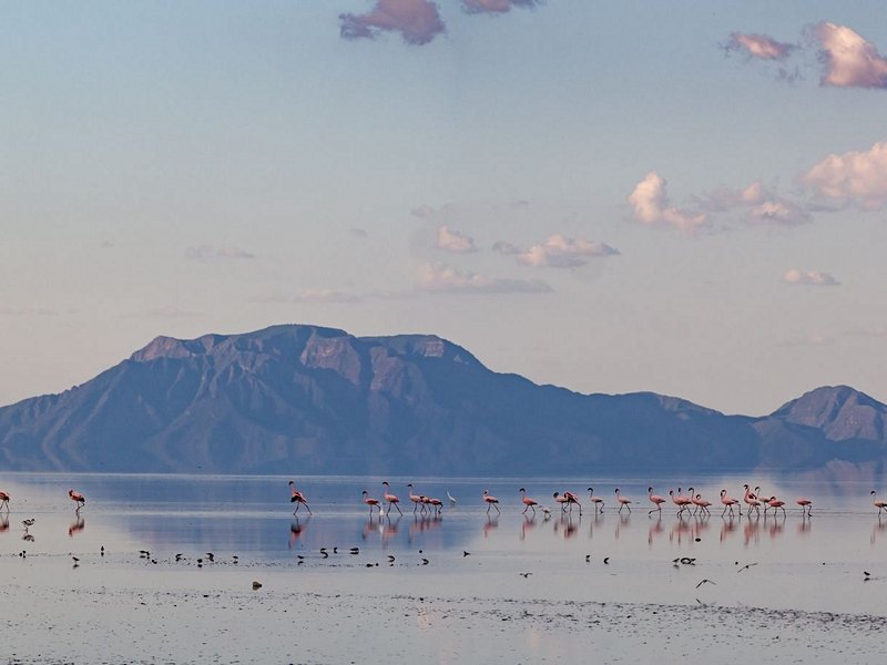 Lac Natron