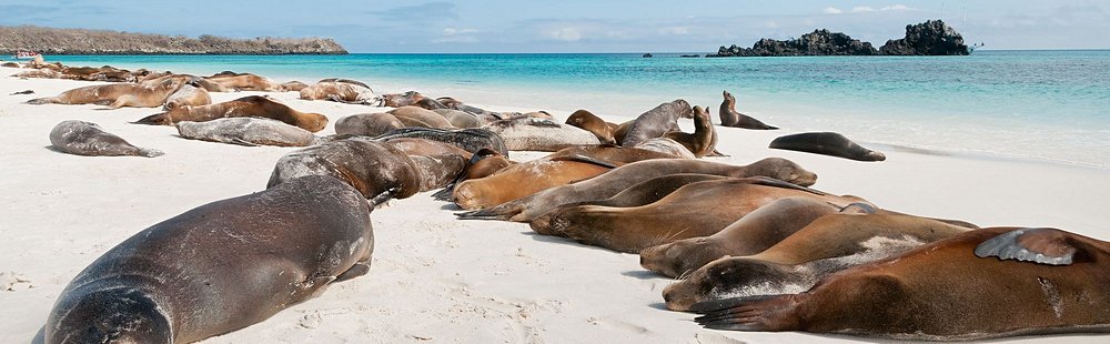 Îles Galápagos