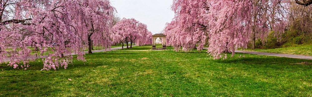 Fairmount Park