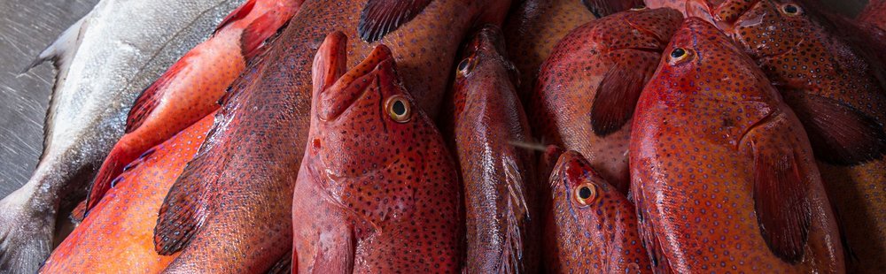 Mercado do Peixe