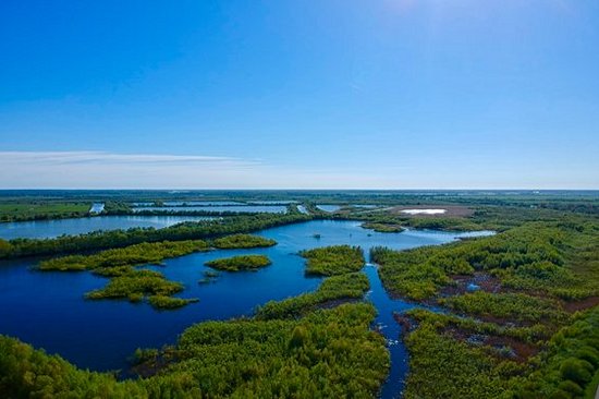 Observer les oiseaux dans le delta du Niémen