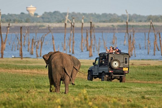 Parc de Kaudulla