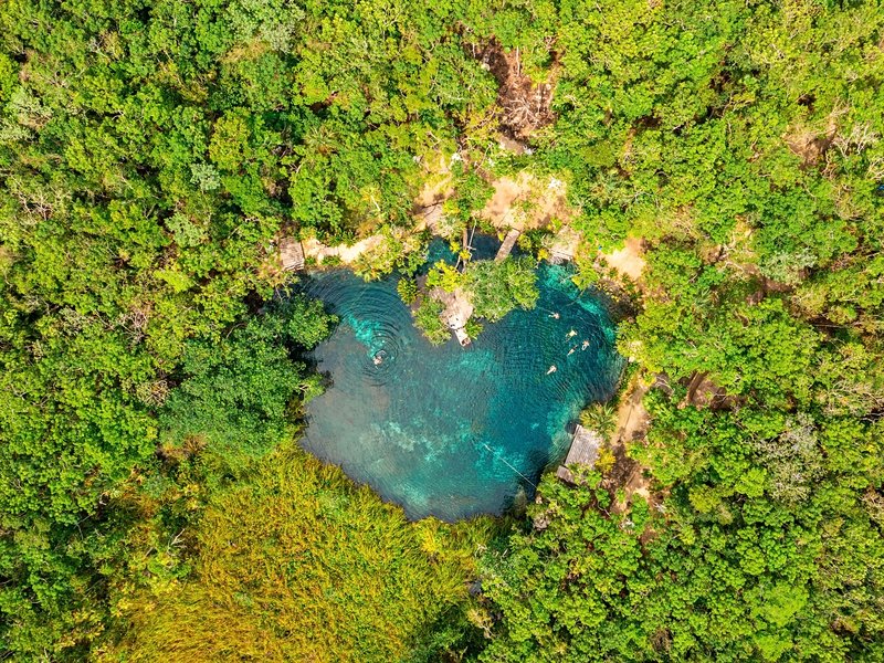 Découvrir les cenotes