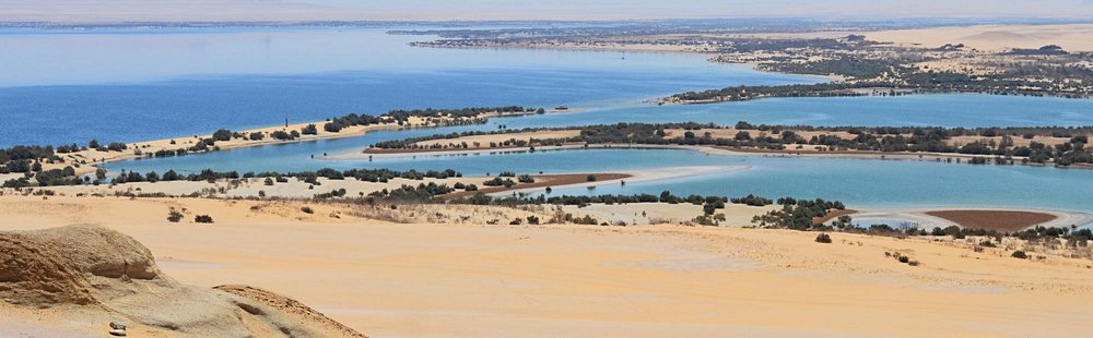L'oasis du Fayoum
