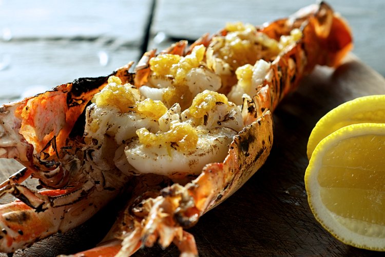 Ne pas apprécier les produits de la mer