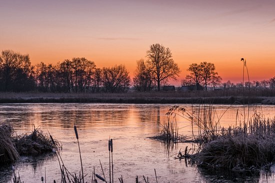 Parc national Weerribben-Wieden