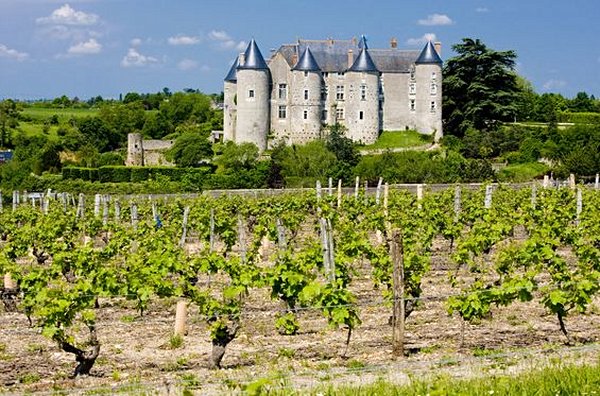Déguster les vins du Val de Loire