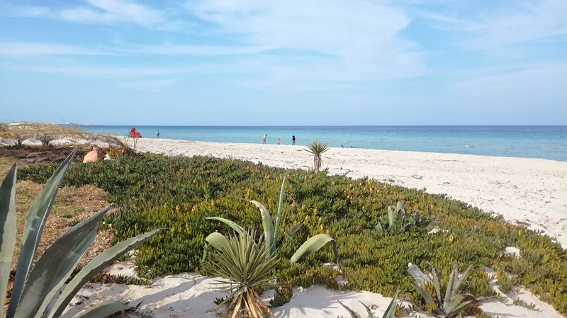 plage Les plages de la Mahdia